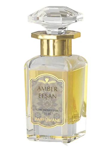 Imagen de Amber Efsan