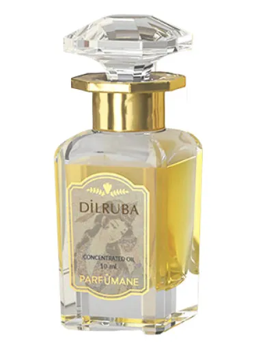 Imagen de Dilruba