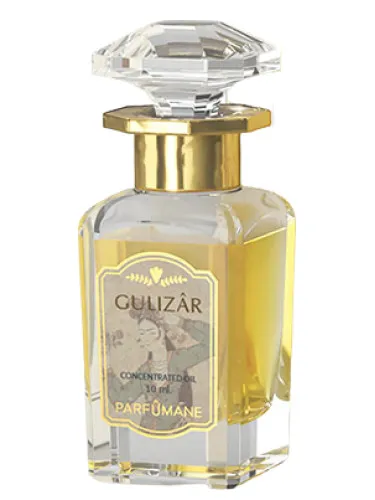 Imagen de Gulizâr