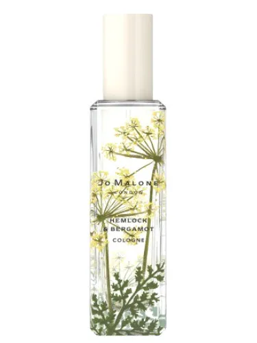 Perfume Hemlock & Bergamot de Jo Malone London