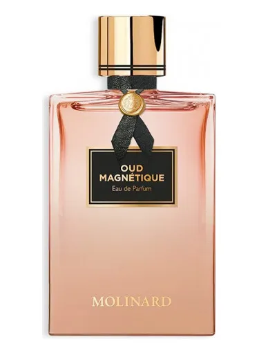 Imagen de Oud Magnetique