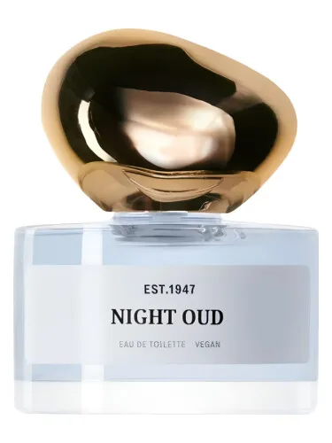 Imagen de Night Oud