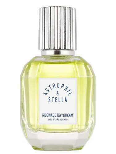 Imagen de Moonage Daydream