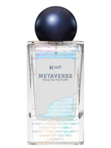 Imagen de Metaverse