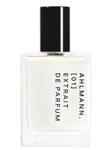 Imagen de AHLMANN 01
