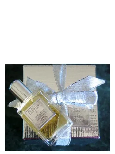 Perfume The Beat Look de DSH Perfumes