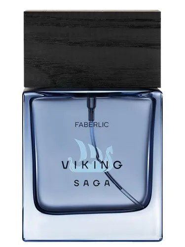 Imagen de Viking Saga