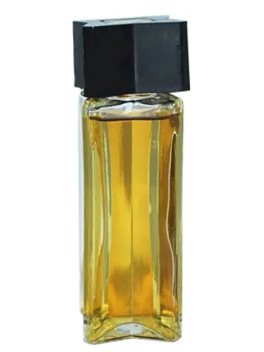 Perfume Роза ветров (Wind rose) de Северное сияние