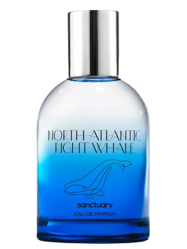 Perfume North Atlantic Right Whale de Sanctuary
