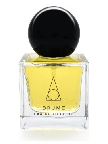 Imagen de Brume