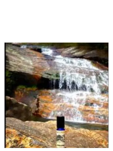 Perfume Covered Bridge de Solstice Scents