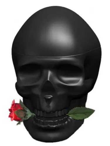 Perfume Ed Hardy Skulls & Roses for Him de Christian Audigier