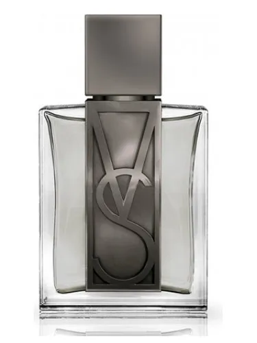 Imagen de Very Sexy Platinum for Him