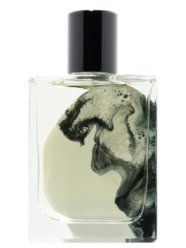 Perfume A Marvellous Entanglement de La Folie a Plusieurs