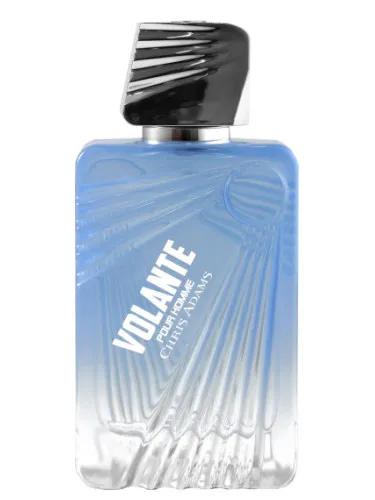 Imagen de Volante Pour Homme