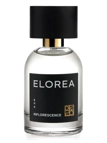 Imagen de INFLORESCENCE (송아리)
