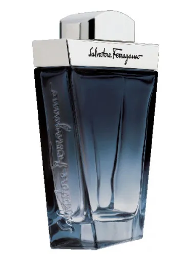 Imagen de Salvatore Ferragamo Subtil Pour Homme