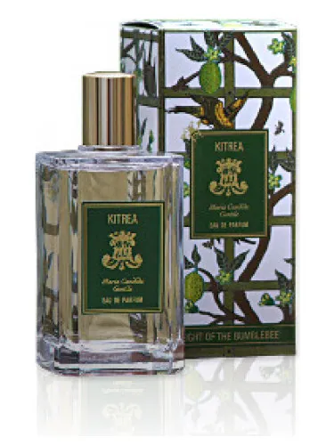 Perfume Kitrea de Maria Candida Gentile