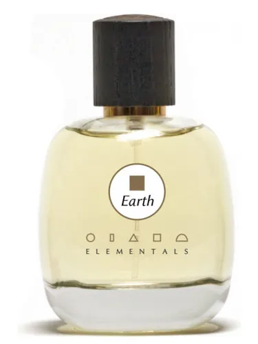 Imagen de Earth