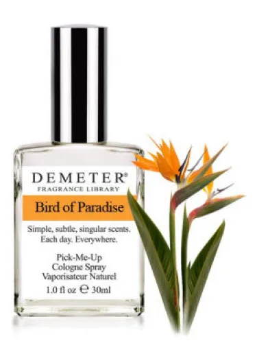 Imagen de Bird of Paradise