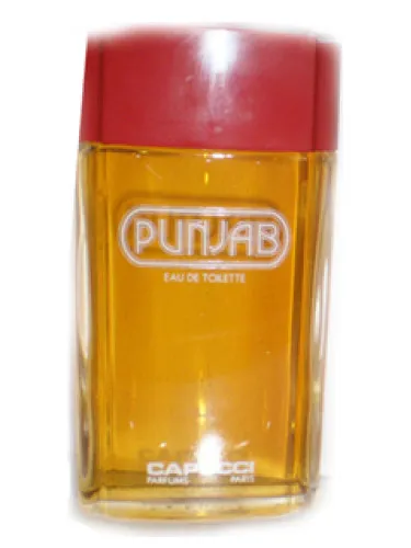 Imagen de Punjab