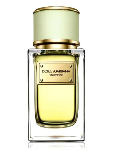 Perfume Velvet Pure de Dolce&Gabbana
