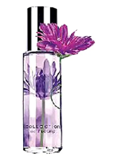 Imagen de Passionate Purple