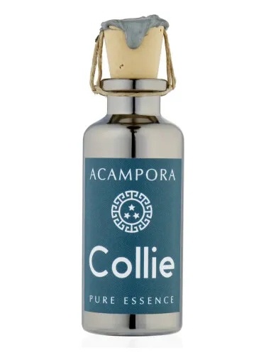 Imagen de Collie – Pure Essence