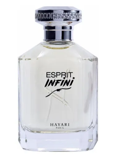 Imagen de Esprit Infini