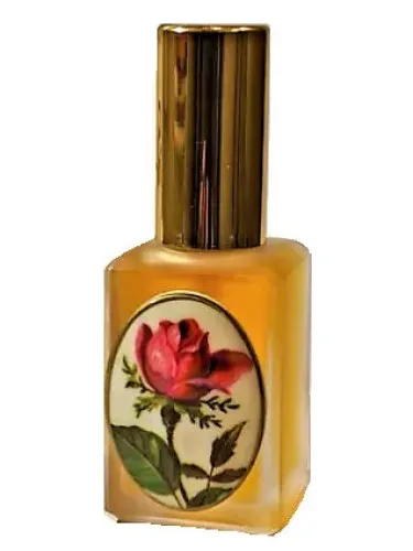 Perfume Solo de Dzintars