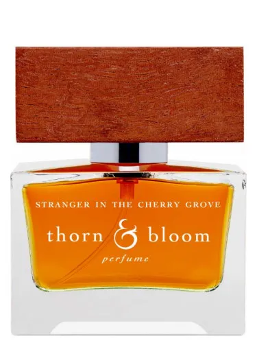 Perfume Stranger in the Cherry Grove de Thorn & Bloom