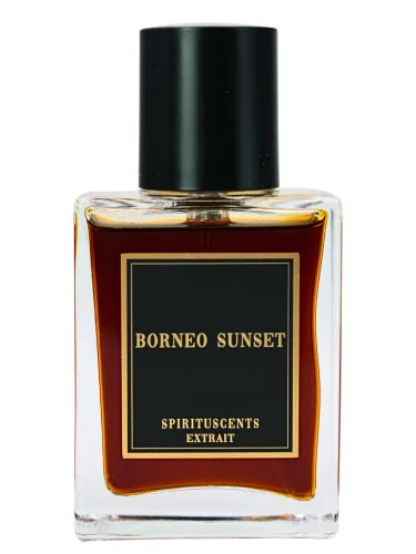 Imagen de Borneo Sunset