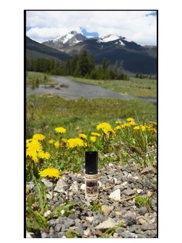 Perfume Hidden Lodge de Solstice Scents