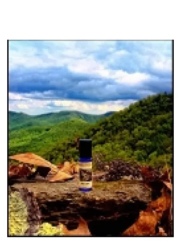 Perfume Grey's Cabin de Solstice Scents