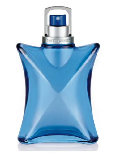 Perfume Vertige Pour Homme de Pierre Cardin