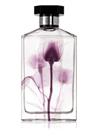 Perfume Sheer Stella 2011 de Stella McCartney