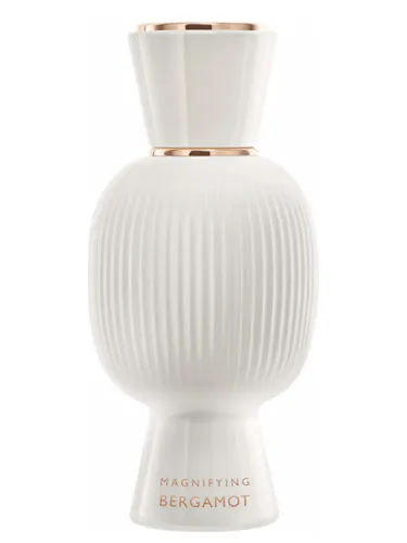 Imagen de Allegra Magnifying Bergamot Essence