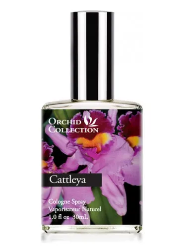 Imagen de Cattleya Orchid
