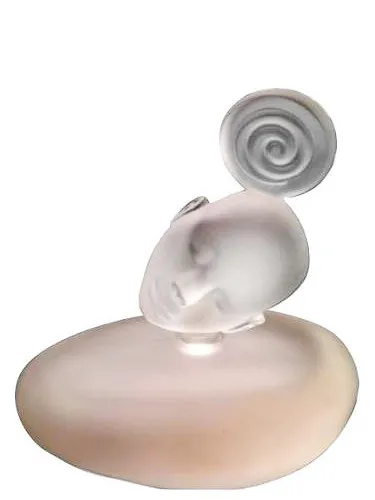 Perfume Songe pour Elle de Majda Bekkali