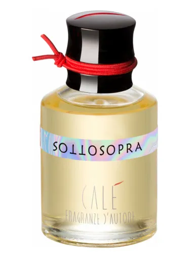Imagen de Sottosopra