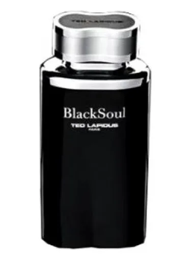 Perfume Black Soul de Ted Lapidus