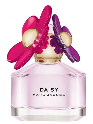 Imagen de Daisy Sorbet