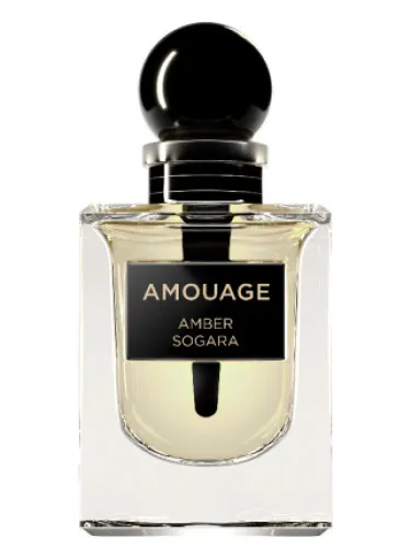 Imagen de Amber Sogara