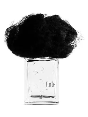 Perfume Pioggia Forte de Filippo Sorcinelli