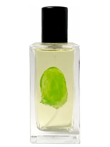 Perfume Spite Eau de Parfum de Chronotope