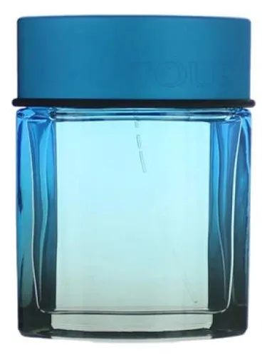Perfume Tous Man Sport de Tous
