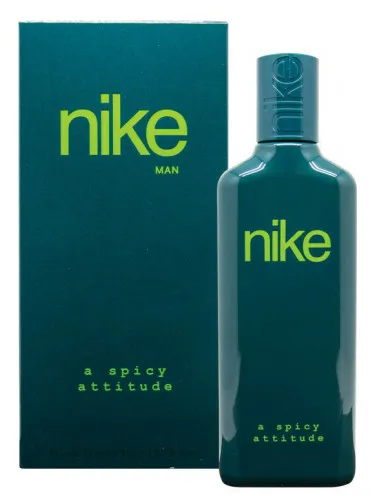 Imagen de Nike A Spicy Attitude Man