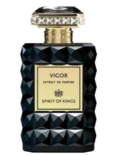 Perfume Vigor de Spirit Of Kings