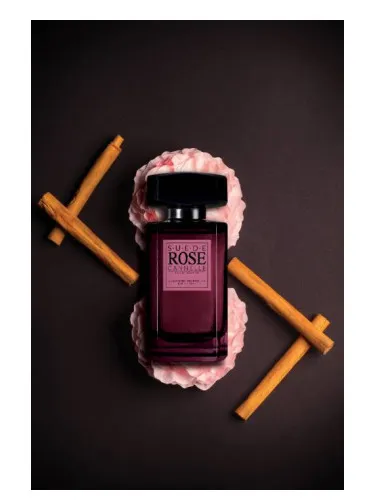 Imagen de Rose Cannelle