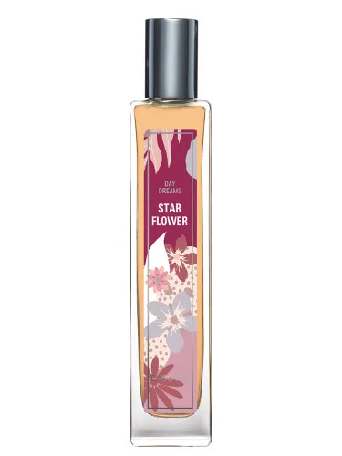 Imagen de Star Flower